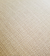 Load image into Gallery viewer, Fall Pillow Covers, Pumpkin Pillow Covers, Squirrel Pillow Cover