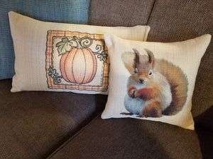 Fall Pillow Covers, Pumpkin Pillow Covers, Squirrel Pillow Cover