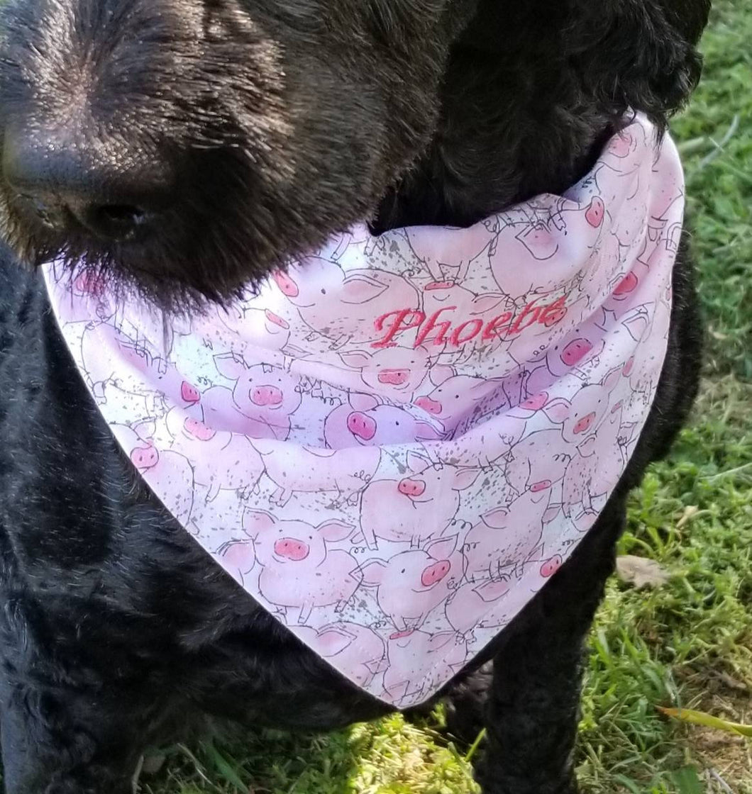 Personalized Over Collar Dog Bandanna